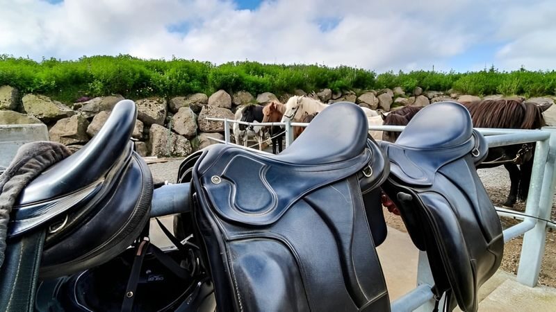 Horse riding experience at Red Lava Hills in Reykjavik - Guides, group size, and the beginner question