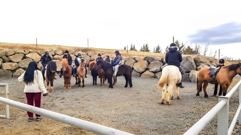 Horse riding experience at Red Lava Hills in Reykjavik - Is the price fair for a Reykjavik ride?