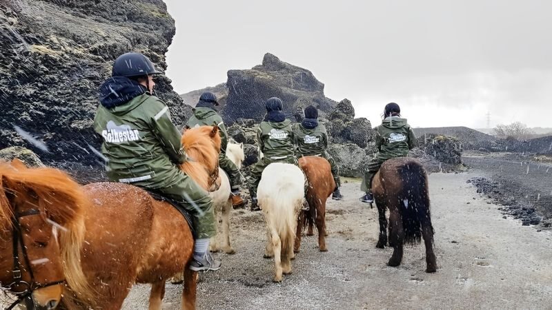 Horse riding experience at Red Lava Hills in Reykjavik - Who should book this ride?