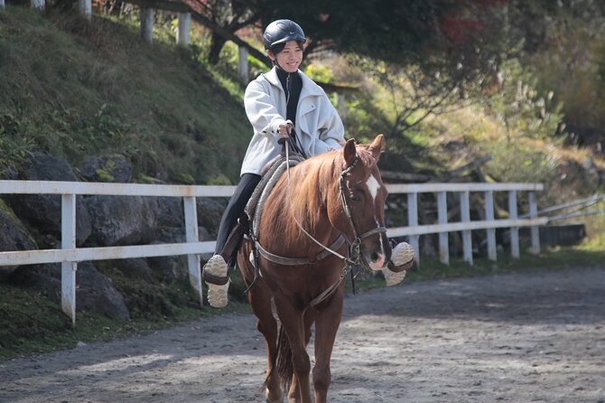 Horse Riding Experience in Nature Rich Lake Shirakaba - Fees and Inclusions