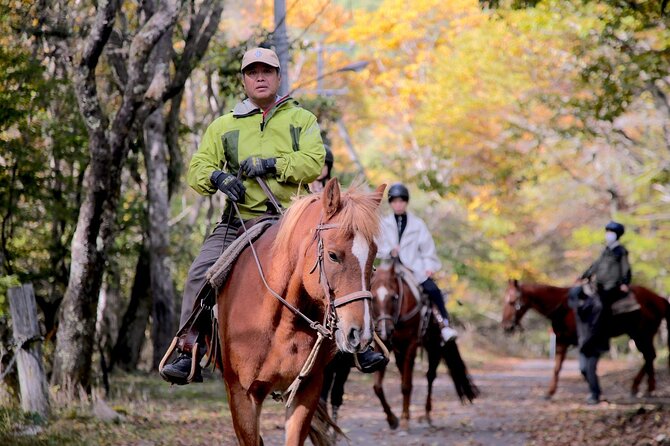 Horse Riding Experience in Nature Rich Lake Shirakaba - Requirements and Policies