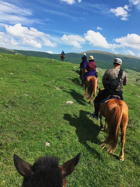 Horse riding experience in Terelj National park 1 day - Good To Know