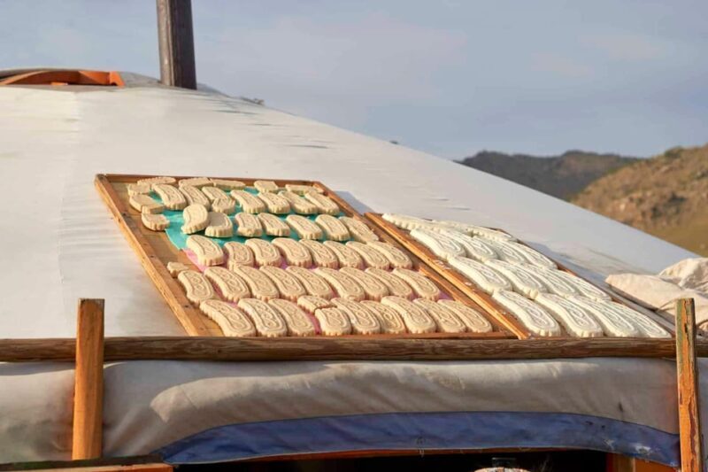 Horse riding experience in Terelj National park 1 day - Introduction: A Glimpse into the Tour