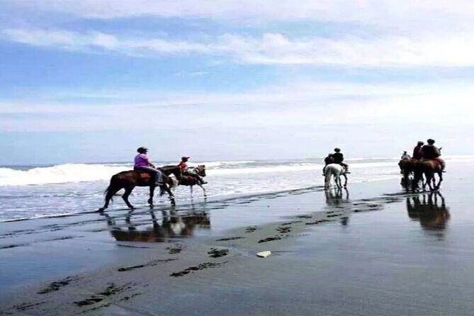 Horse Riding Experience on Black Sand Beach Bali - An In-Depth Look at the Bali Black Sand Beach Horse Riding Experience