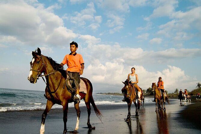 Horse Riding Experience on Black Sand Beach Bali - Who Should Consider This Tour?