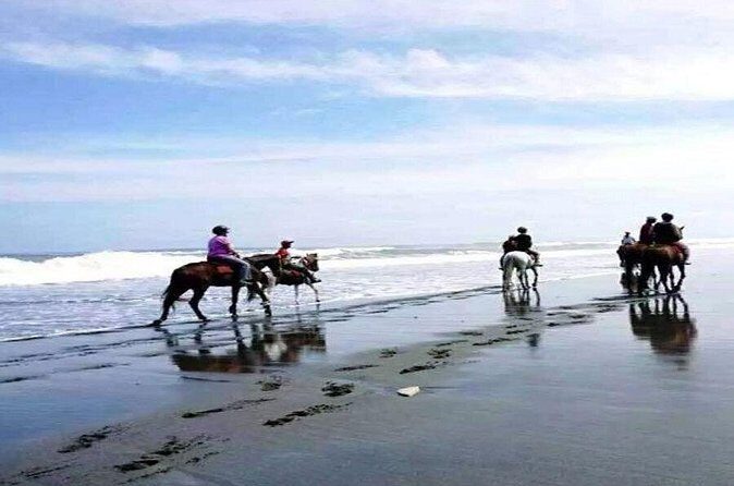 Horse Riding Experience on Black Sand Beach Bali - The Sum Up