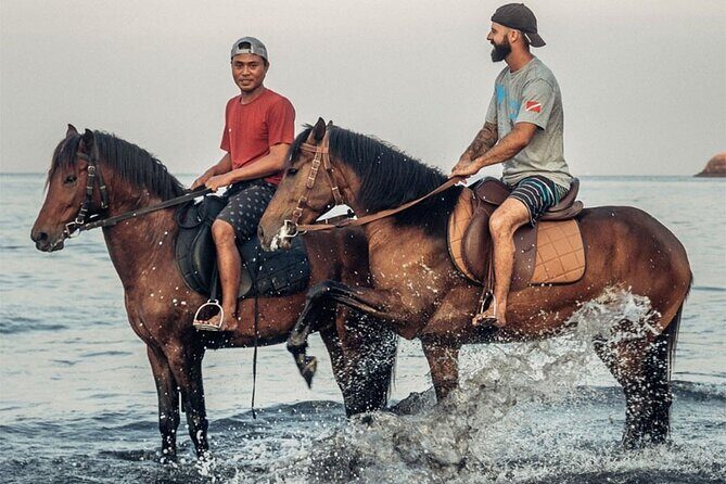 Horse Riding Experience on Black Sand Beach Bali - Good To Know
