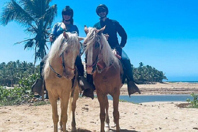 Horse Riding Experience through El Limon Beach - Why This Tour Offers Real Value  