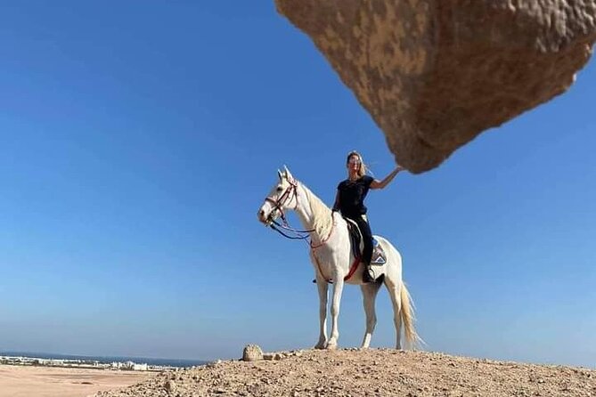 Horse Riding Experience Tour Desert & Sea With Transfer-Hurghada - Pickup Details