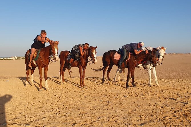 Horse Riding Experience Tour Desert & Sea With Transfer-Hurghada - Booking Process