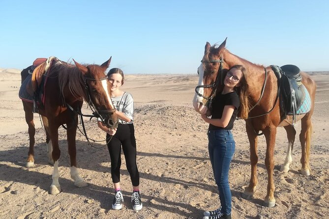 Horse Riding Experience Tour Desert & Sea With Transfer-Hurghada - Pricing Options