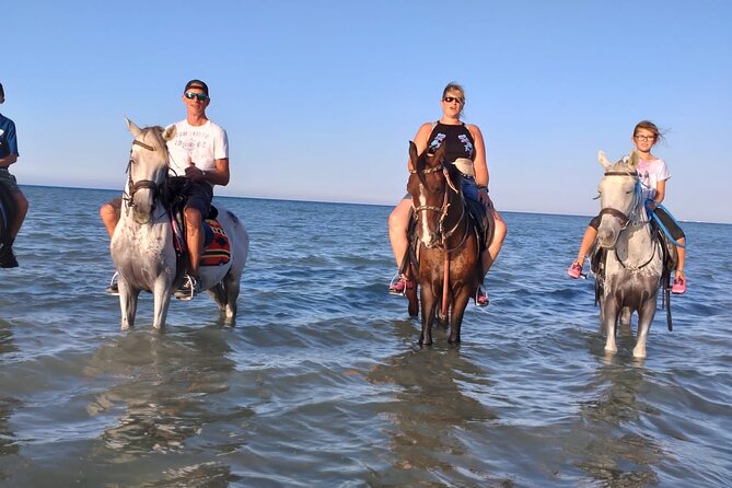 Horse Riding Experience Tour Desert & Sea With Transfer-Hurghada - Additional Information