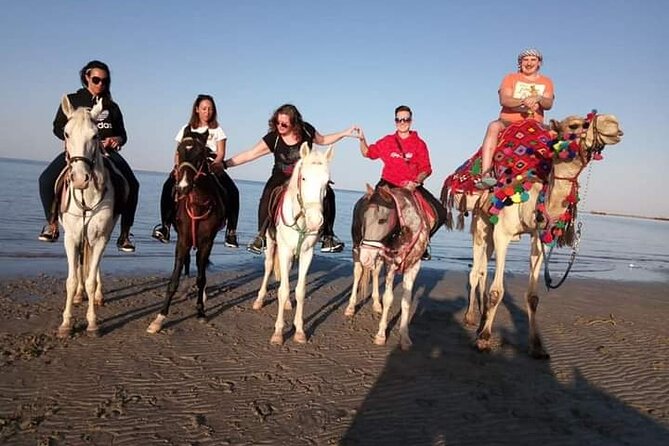 Horse Riding Experience Tour Desert & Sea With Transfer-Hurghada - Inclusions & Exclusions