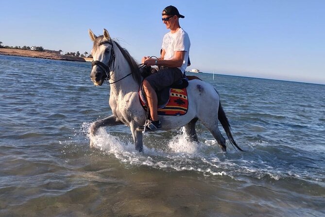 Horse Riding Experience Tour Desert & Sea With Transfer-Hurghada - Safety Measures