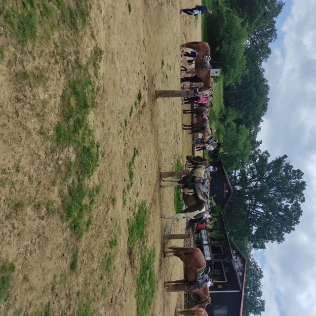 Horse Riding in a Farm - Farm Tour Experience