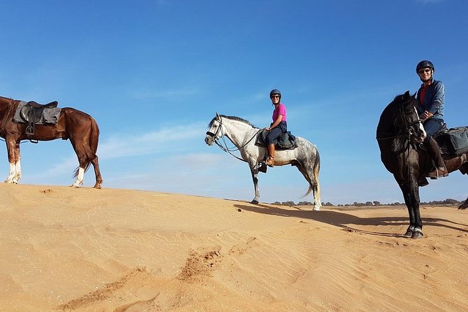 Horse Riding In Agadir - Activity Details