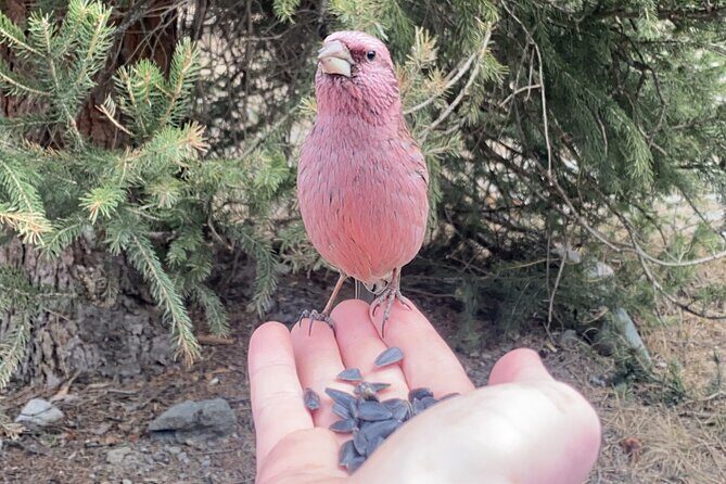 Horse Riding in Ala Archa National Park - Returning to Bishkek: The End of a Beautiful Day