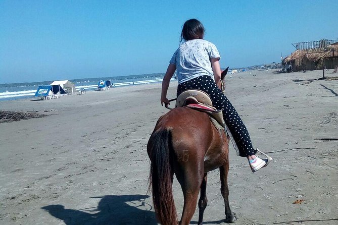 Horse Riding in Cartagena - Activity Details