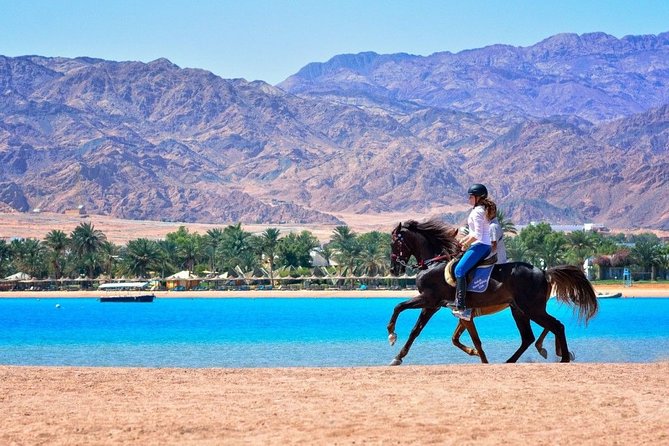 Horse Riding in Dahab - Good To Know