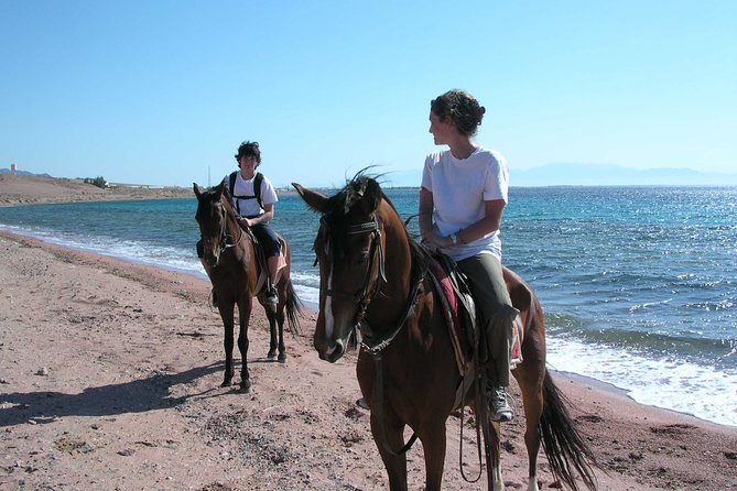 Horse Riding in Dahab - Pickup Details