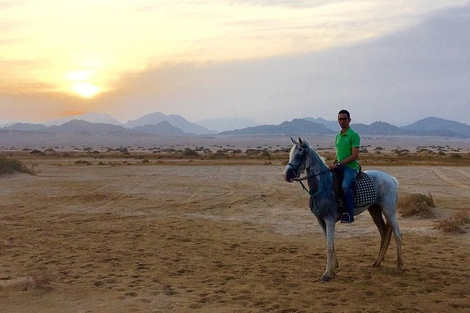 Horse Riding in Dahab - The Sum Up