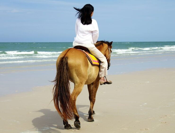 Horse Riding in Kusadasi - Booking Details