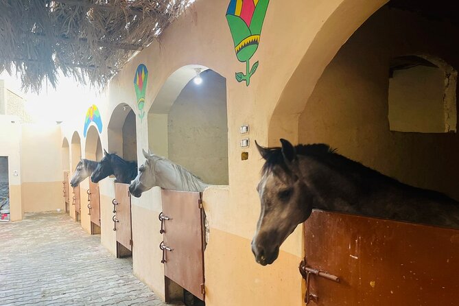Horse Riding in Luxor VIP - Inclusions and Meeting Details
