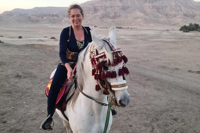 Horse Riding in Luxor VIP - Customer Reviews and Ratings
