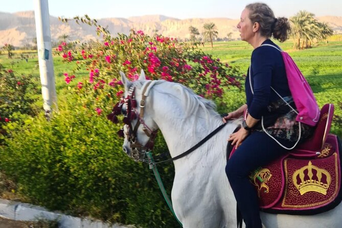 Horse Riding in Luxor VIP - Activity Inclusions and Overview