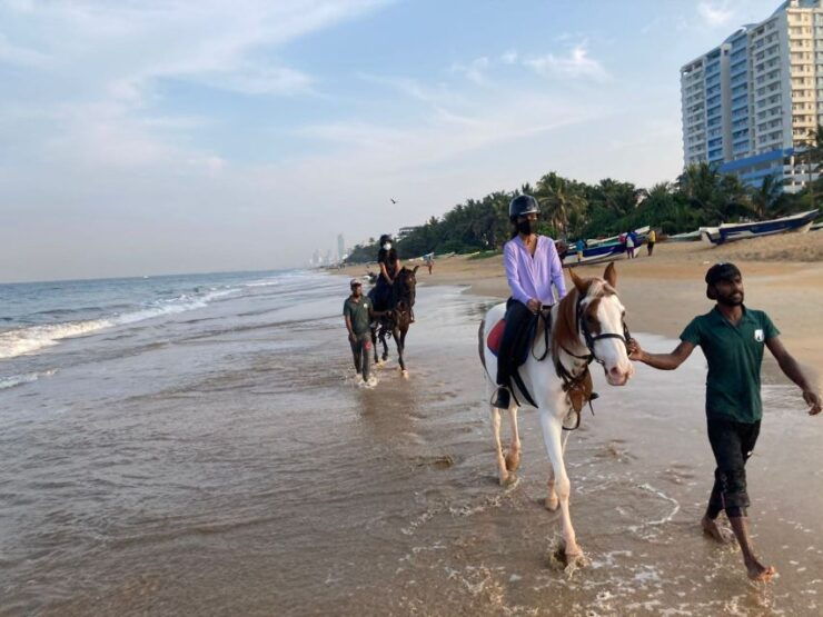 Horse Riding in Mount Lavinia - Activity Details