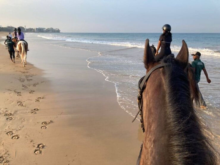 Horse Riding in Mount Lavinia - Highlights of Mount Lavinia