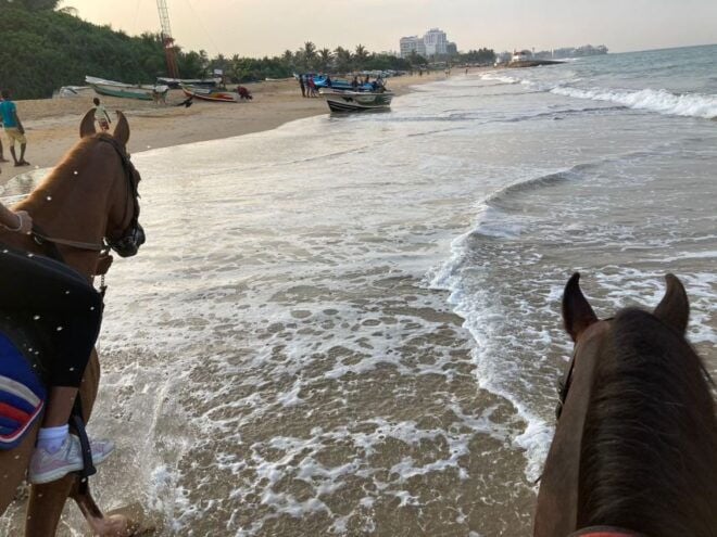 Horse Riding in Mount Lavinia - The Sum Up