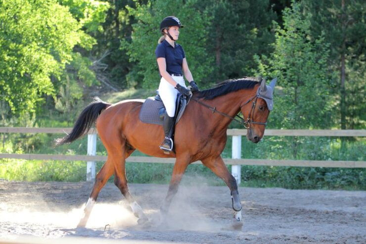 Horse Riding in Nuwara Eliya - Activity Details