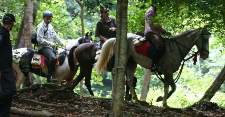 Horse Riding in Nuwara Eliya - Experience Highlights