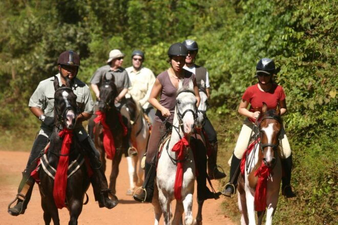 Horse Riding in Nuwara Eliya - Activity Provider Information