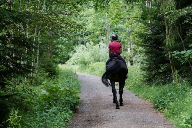 Horse Riding in Nuwara Eliya - Common Questions