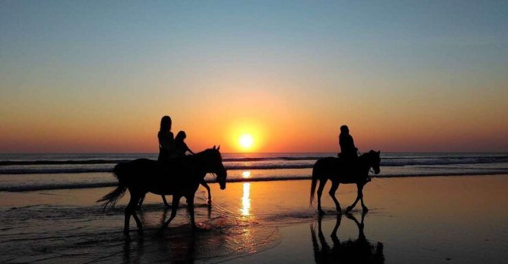 Horse Riding in Paros Island - Activity Details