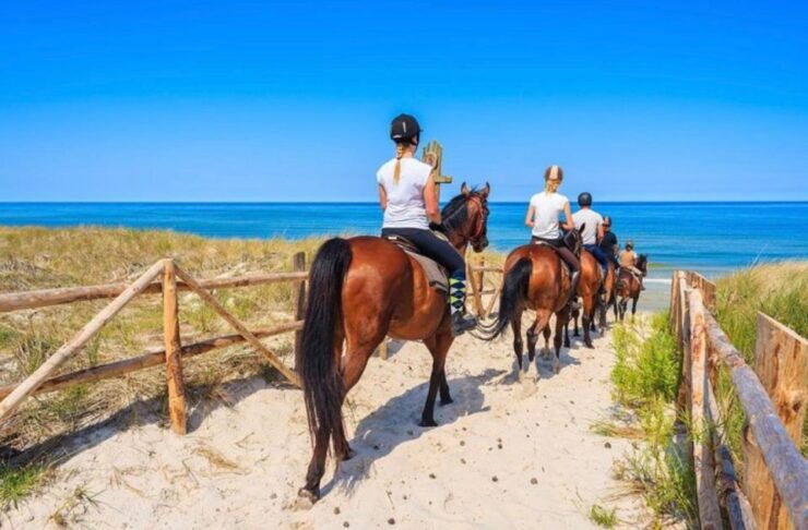 Horse Riding in Paros Island - Experience Highlights
