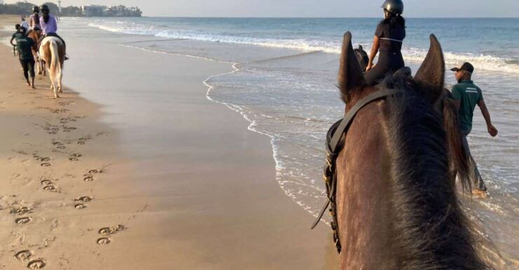 Horse Riding in Port City - Experience and Highlights