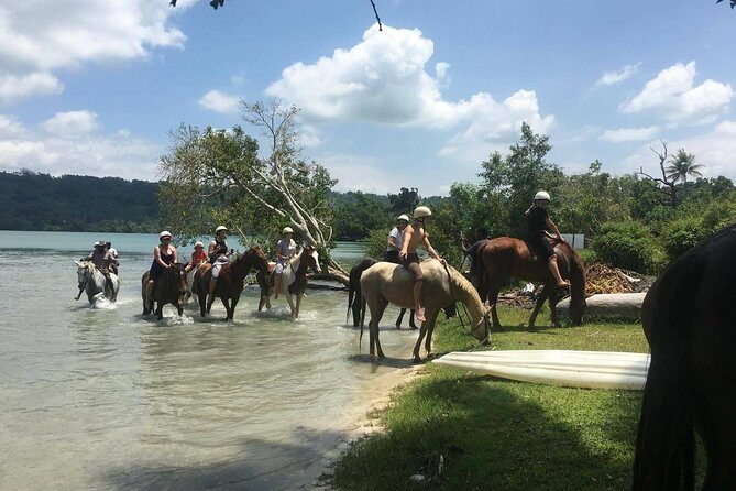 Horse Riding in Port Vila with Yumi Tours - An In-Depth Look at the Horse Riding Experience