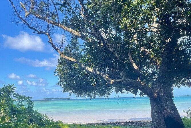 Horse Riding in Port Vila with Yumi Tours - Final Thoughts