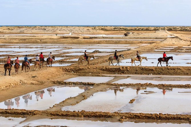 Horse Riding in Sal Island - Cabo Verde - Horse Riding Tour Options