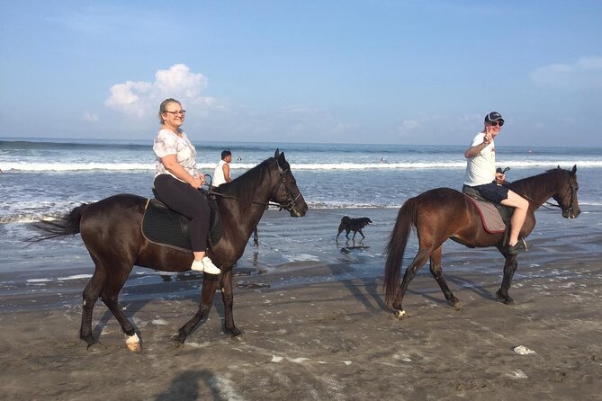 Horse Riding in the Beach With Bali Luxury Spa - Activity Overview