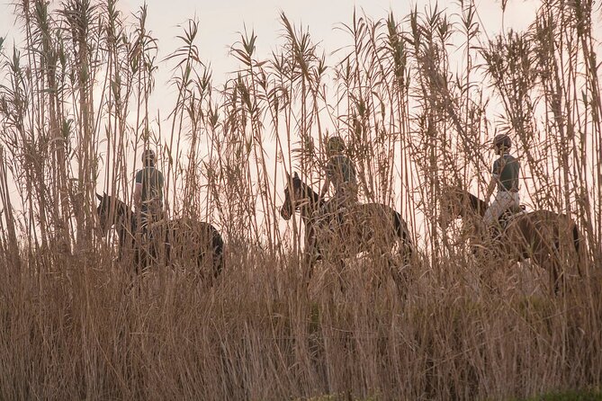 Horse Riding in the Countryside - Getting in Touch