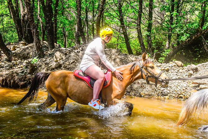 Horse Riding in the Forest From Kusadasi - Horseback Riding Experience in Kusadasi