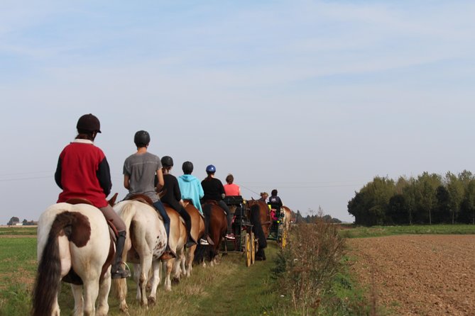 Horse Riding in the French Countryside - Overview and Experience