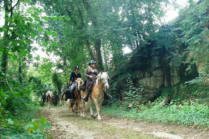Horse Riding in the French Countryside - Meeting and Pickup