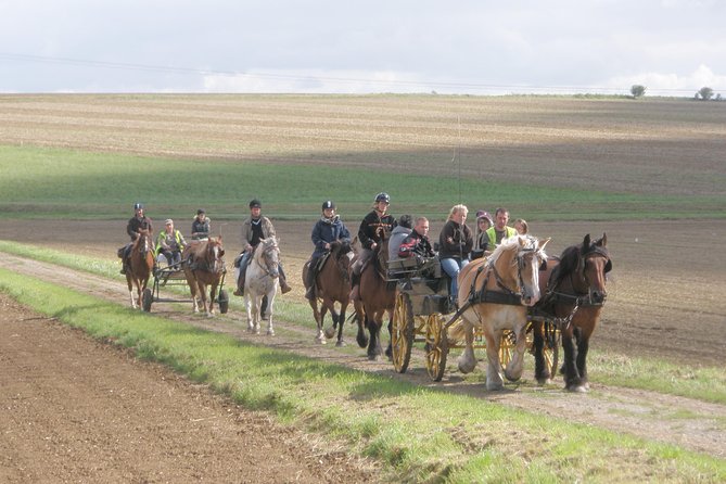 Horse Riding in the French Countryside - Directions