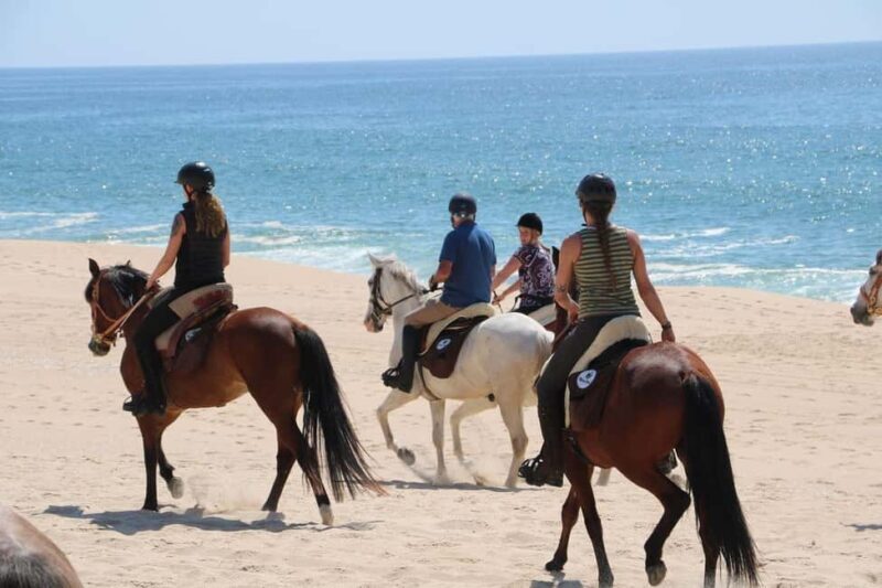 Horse riding in the Valley, near Lisbon, brunch and winnery - Authenticity and Unique Experiences