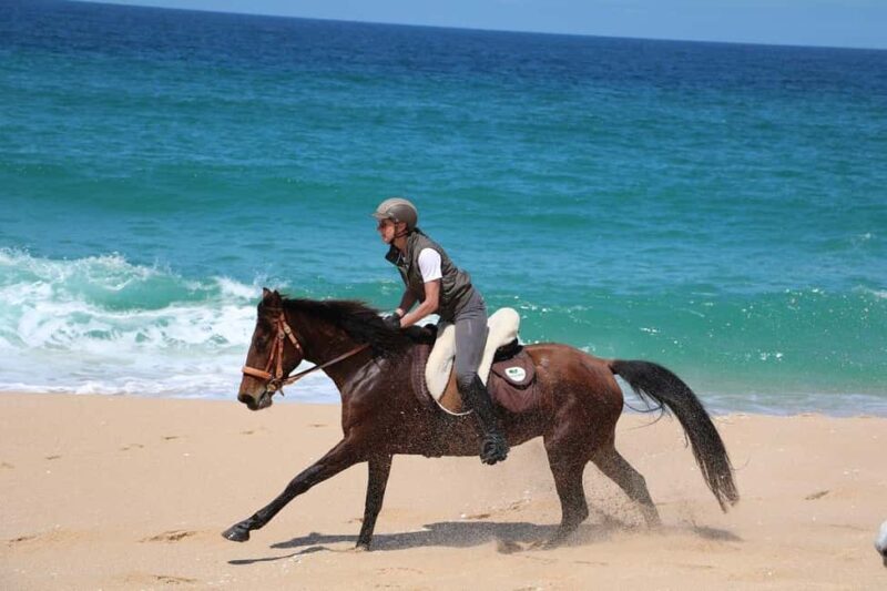 Horse riding in the Valley, near Lisbon, brunch and winnery - FAQ